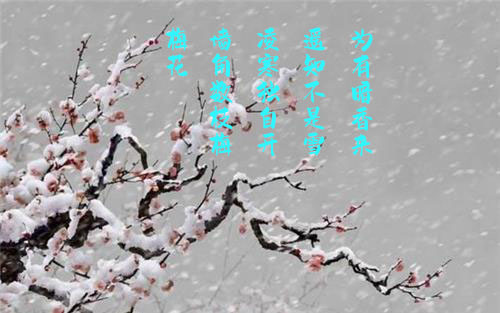 梅花
